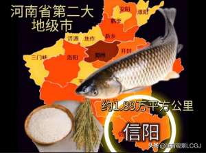 石八鱼养殖(河南第二大地级市“鱼米茶乡”有柑橘，牵着水牛种稻米)