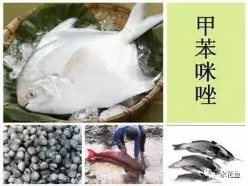 常用鱼药的优缺点与药用量及品种禁忌