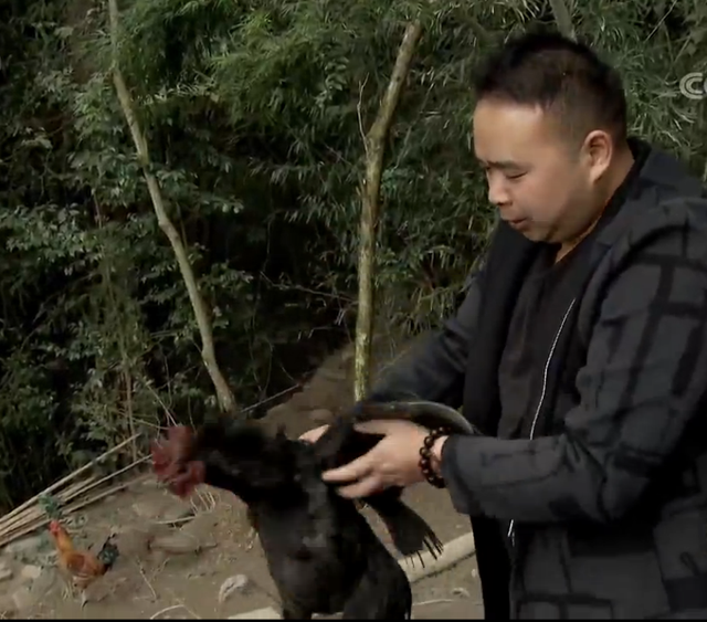宜昌农村小伙返乡养黑鸡，一年卖2000万元，带领村民走上致富路