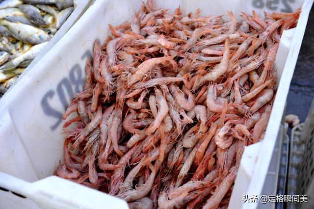 开海吃鲜大虾热宠，野生VS养殖价格相差数倍，买错了吃亏的就是你