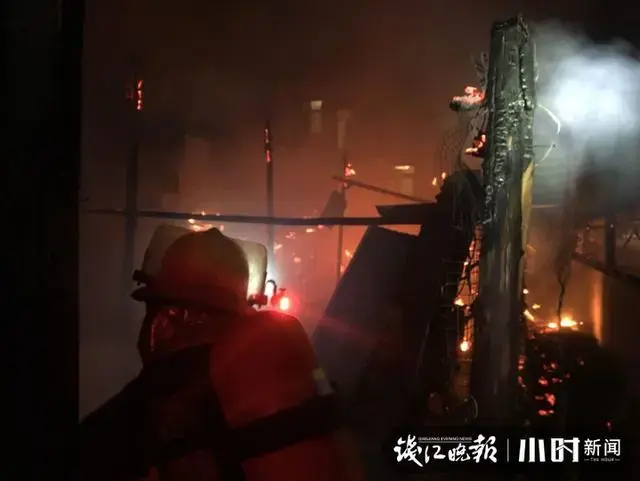 杭州养殖场凌晨大火，唯一幸存了一只小黄鸭！它的命运会如何？