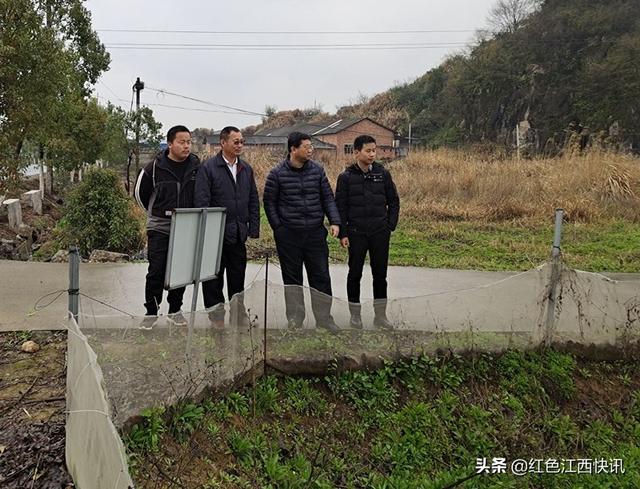 王海华博士到九江星祥水产养殖有限公司指导红泥鳅养殖