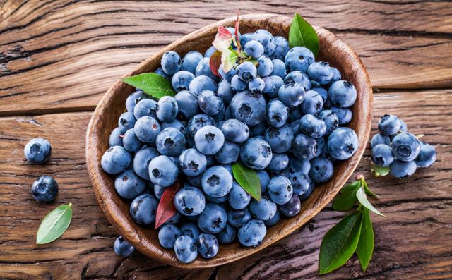 盆栽蓝莓，好养结果多，富含“花青素”，营养高