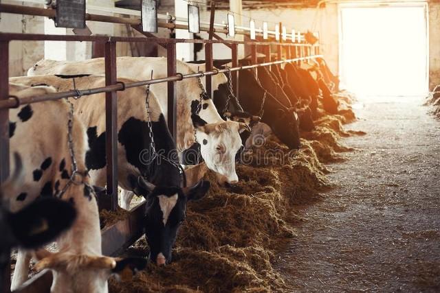 《2023 年新畜牧法养殖场七大全新规定》