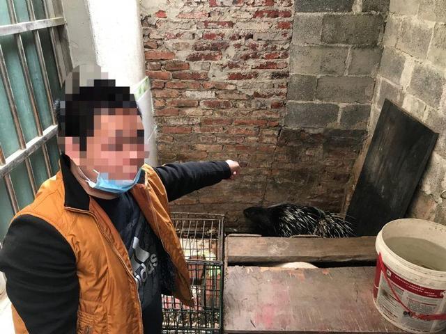广西钦州警方查获一起非法交易野生动物案