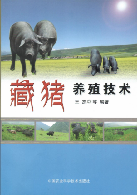 藏猪产业现状和前景分析