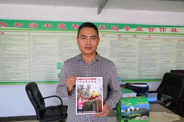 一家来自青藏高原的藏香猪合作社