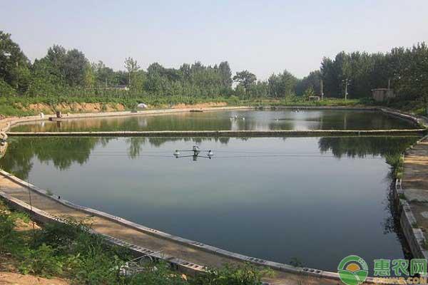 水产养殖如何做好池塘管理？鱼塘加水有哪些技巧？