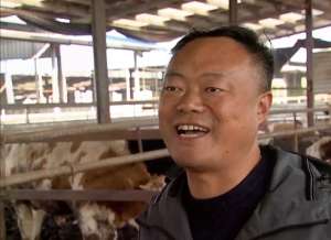 小水牛的养殖视频(大叔零经验创业养牛，靠坚持和诚信，销售额过亿成养殖界的牛人)