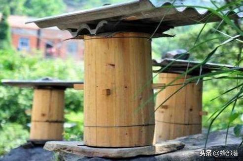 木桶养蜂如何换成活框饲养？养蜂师傅全面讲解，既经典又实用
