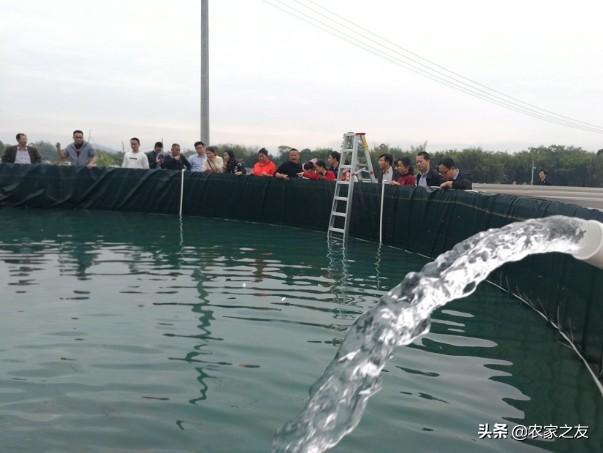 广西陆川：养鱼户林威龙 自创新方法 让养鱼变得简单了