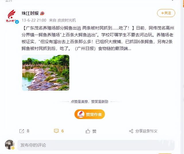 广东省茂名市遭遇暴雨鳄鱼养殖场75条鳄鱼出逃。现在彭村塘的湖中