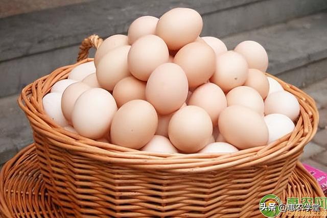 鸡蛋目前市场价格是多少？鸡蛋可以保存多久？