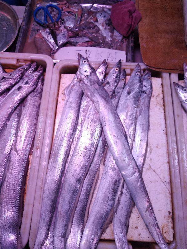 海鲜市场上这8种鱼，目前还无法养殖，看见了尽量压价别错过