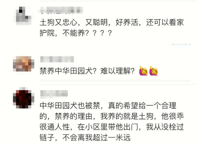 又有一地公布“禁养犬名录”，中华田园犬让网友“炸锅”了