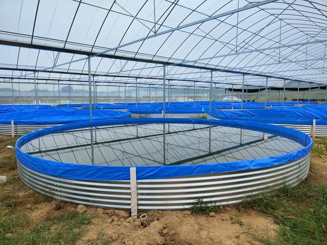 水产养殖：黄鳝鱼养殖技术怎样养如何建池塘