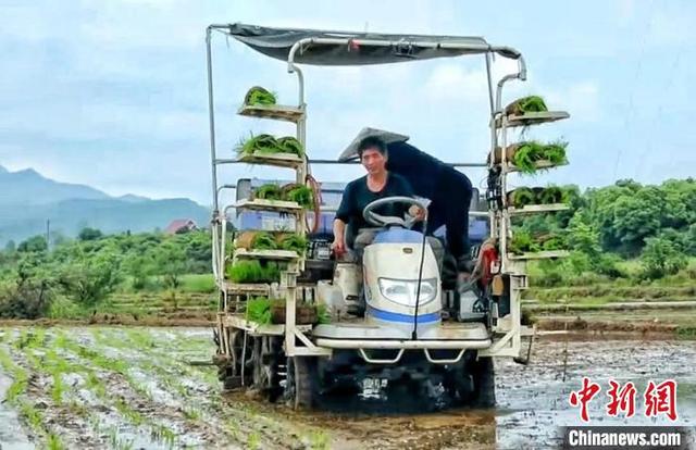 湖南东安发展农民专业合作社 绘就乡村振兴“新蓝图”