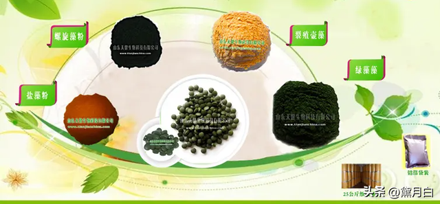 螺旋藻肥料对辣椒产量和品质的影响及其在可持续发展农业中的应用