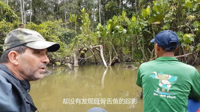 亚马逊渔民只用一根鱼叉，捕获到上百斤的巨骨舌鱼#亚马逊捕鱼