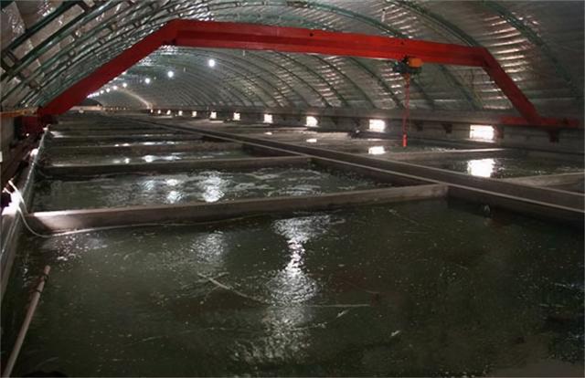 大棚黄鳝养殖怎样增氧换水？解读黄鳝养殖技术，一年四季稳高产