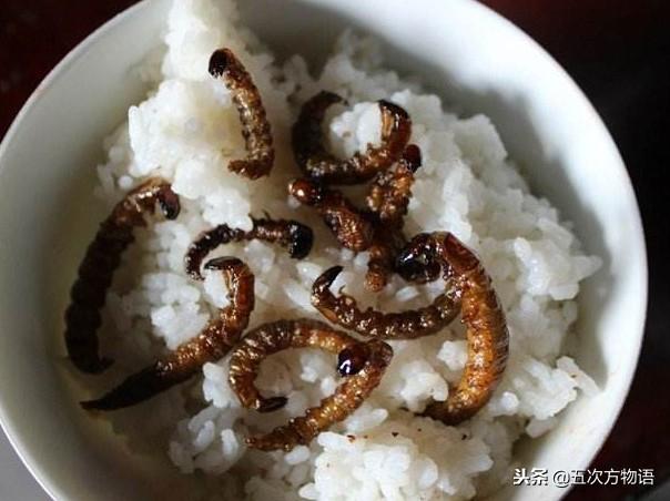 被视为美食的“水蜈蚣”，到底是什么东西？