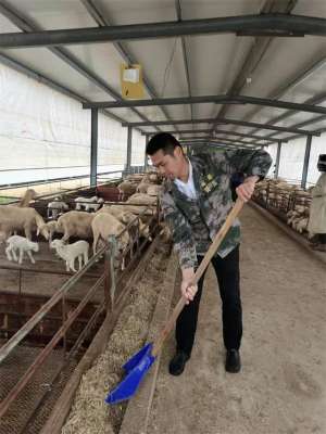 江西山羊养殖场(南昌红谷滩区：湖羊产业助力乡村振兴)
