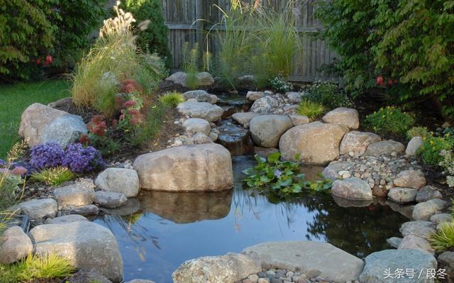 「庭院设计」自己动手在院子里建造一个生态池塘-完整步骤分享