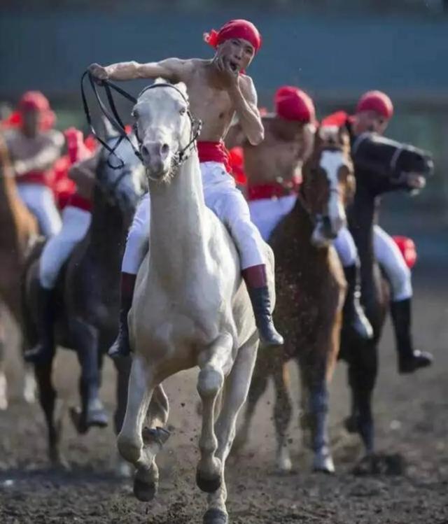 陈志峰与他的“汗血宝马”传奇：守护传奇马种，引领全球马术运动