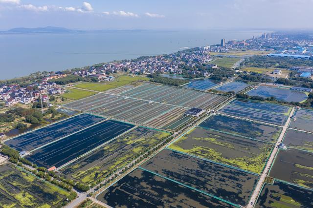 （经济）浙江湖州：特色太湖蟹养殖助力乡村共同富裕