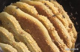 木桶养蜂，怎样做不影响蜂蜜质量？老蜂农分享4种方法，太好用了