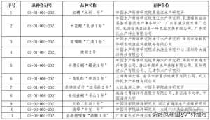 江苏养殖桂鱼(“鼎鳜一号”成活率达8成以上规格均匀，不到5个月就能错峰上市)