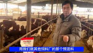 最大肉驴养殖场(安徽最大肉牛养殖基地“木兰牧业”目前存栏10000头)