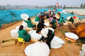 蚌埠水蛭养殖(90后退伍兵带领村民养蚂蟥，每公斤上千元，年产量近4吨)