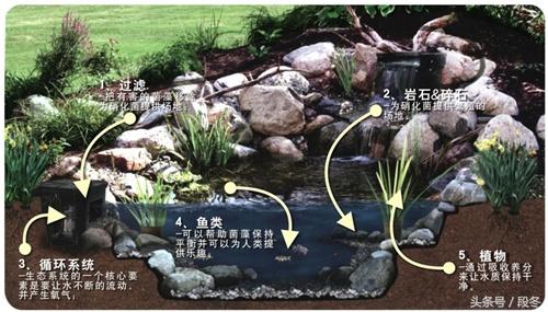 「庭院设计」自己动手在院子里建造一个生态池塘-完整步骤分享