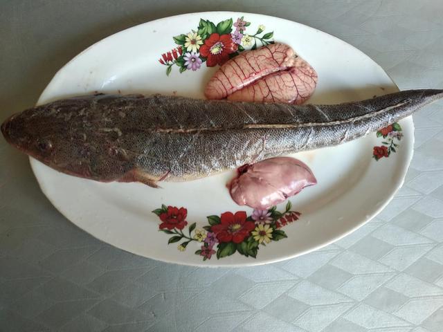 北方沿海最受欢迎的6种海鱼，不是海边人很难吃全，你吃过几种？