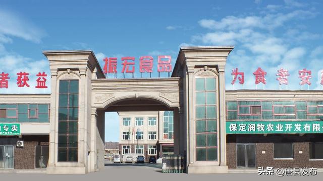 喜讯丨唐县六家企业荣获“河北省农业产业化重点龙头企业”称号