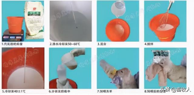 「学习笔记」马涛博士：寒冷条件下肉羊营养调控技术