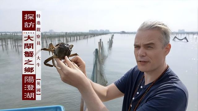 30年过去了，阳澄湖的养蟹人是怎么养蟹的？