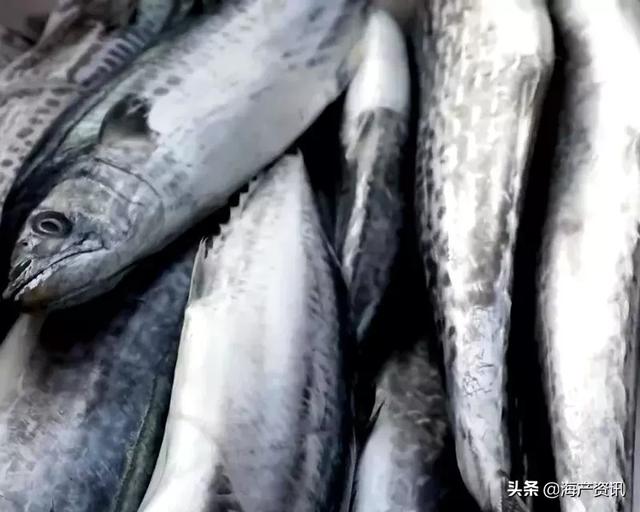 海鲜市场有7种鱼，没法养殖，只有野生的！看到了抓紧买回家