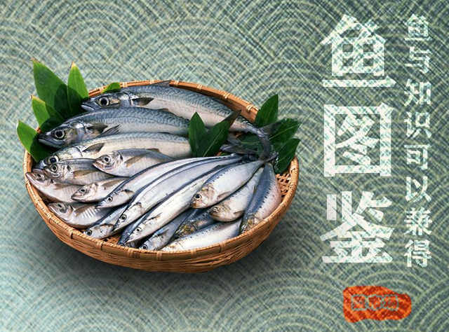 自然博物类好书指南（002）：《菜市场鱼图鉴》