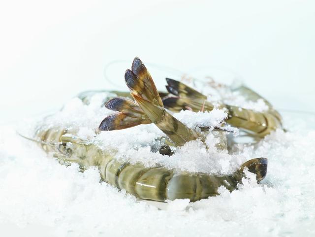 菜市场买虾，如何分辨海虾和养殖虾？老渔民告诉你区别，原来如此