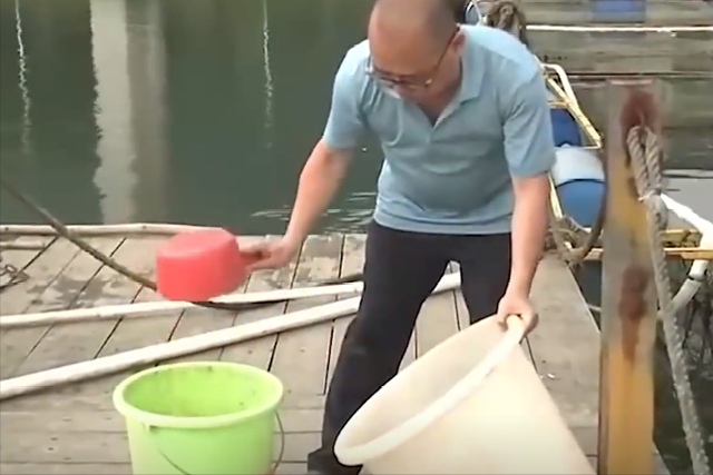 清华学霸养殖怪鱼，年销售额达600多万，他到底是如何做到的？