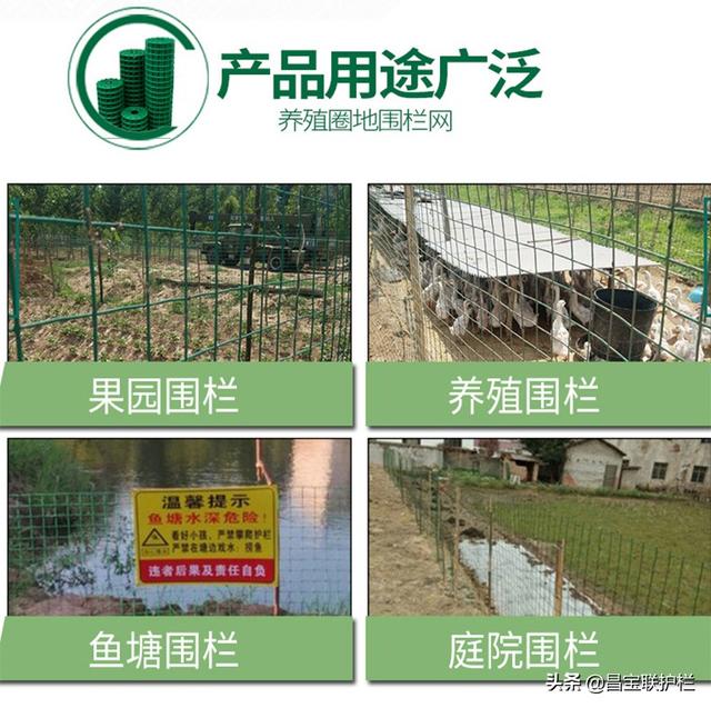 荷兰网 铁丝网围栏 养殖网 鸡网 家用铁网格网钢丝网片防护网围墙