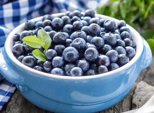 北方的家里也能种蓝莓？记住这8点，果实一串串，香甜可口