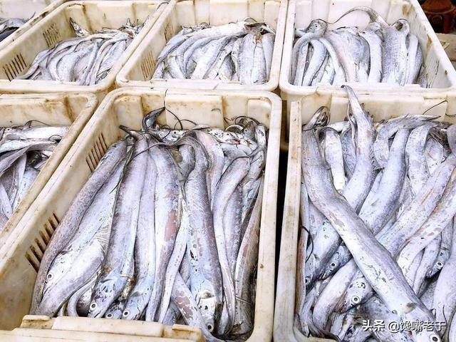 春季买鱼，这5种鱼都是野生海鱼，不能人工养殖，遇到后可别错过