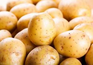 冬黄豆种植技术(冬马铃薯的高产栽培技术，学会这几步，轻松大丰收)