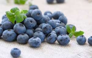 蓝莓种植收益(山东小伙种植蓝莓妙法不断，一斤价格高达180元，每月都有新招)