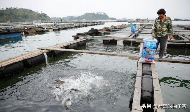 浙江渔业目前存在的资源过剩与管理问题，专家：这亟待解决
