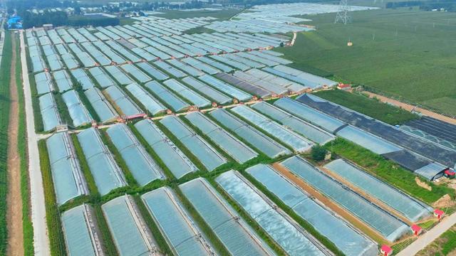 南乐县联富果蔬种植专业合作社被农业农村部评选为2023年度国家级生态农场