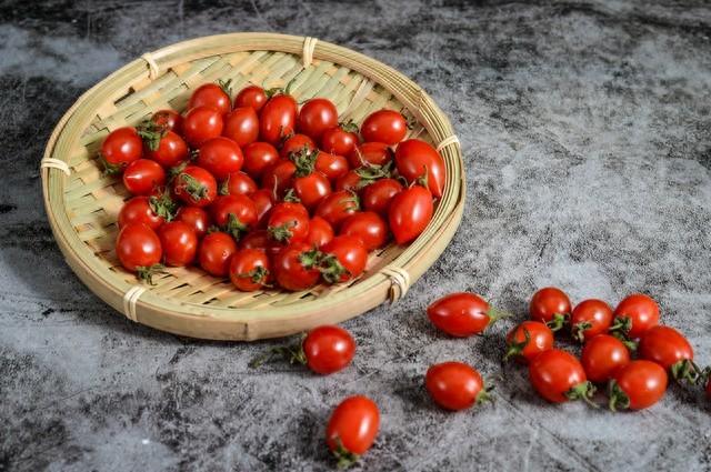 盆栽西红柿，移栽到“地里”，掐下头，窜1米多，挂满几百小番茄
